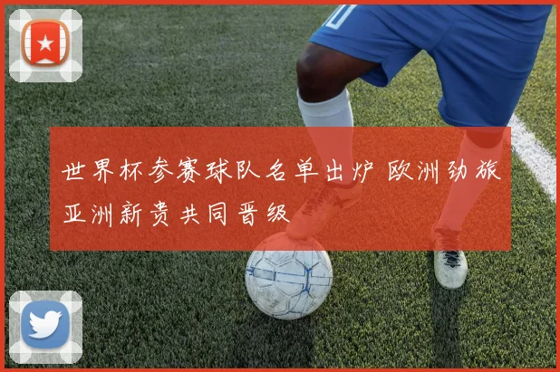 世界杯参赛球队名单出炉 欧洲劲旅亚洲新贵共同晋级