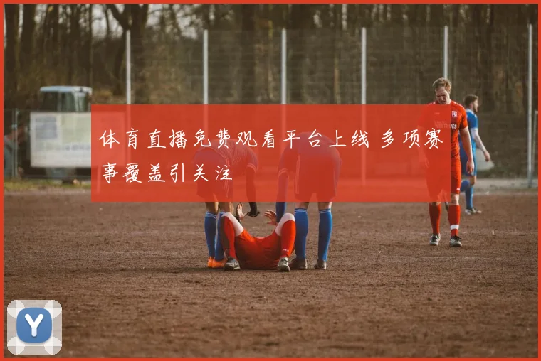 体育直播免费观看平台上线 多项赛事覆盖引关注