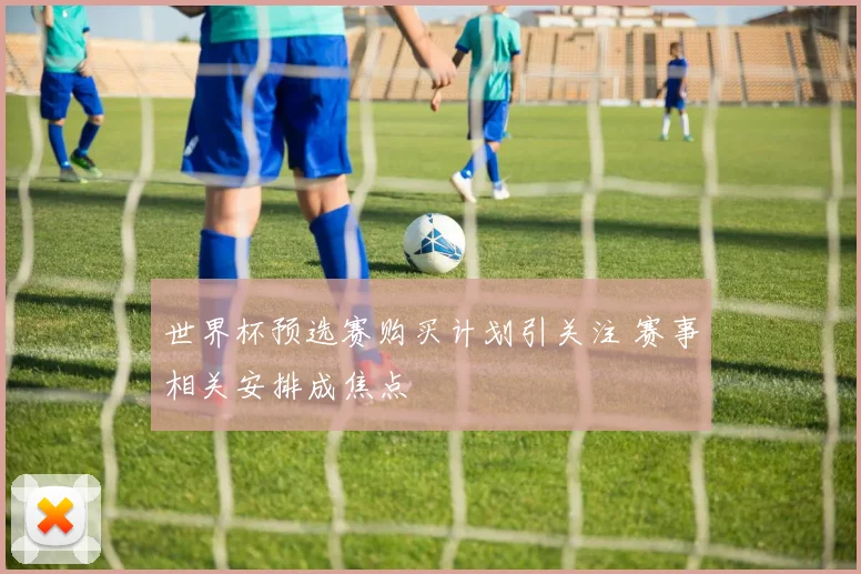 世界杯预选赛购买计划引关注 赛事相关安排成焦点